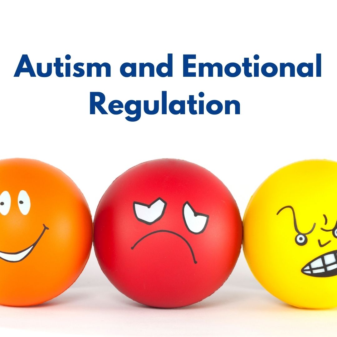 Autism and Supporting Emotional Regulation Webinar - The Toby Henderson ...