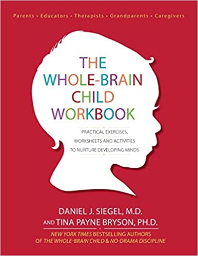 book the whole brain child workbook