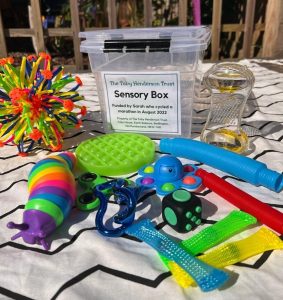 sensory box - sarah